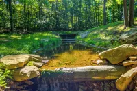 Secluded Cabin w/ on-Site Creek + Trails! - 3-Star