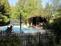 Steinschalerhof - Pools