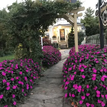 Bedham Hall B&B