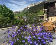 Mountain Lodge Sedrun - Mountain view