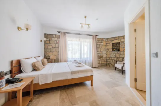 Arikli HAN Kazdaglari