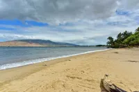Kihei Condo Steps to Kalepolepo Beach Park! - Beach