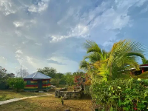 The Judy House 2 - Lewi's Backpacker Hostel Hotels in 