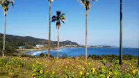 Guesthouse & Beach Cafe Fuego, Hostel Hoteles en Hyuga