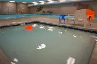 Tamarack Wisconsin Dells, a Ramada by Wyndham - Resorts