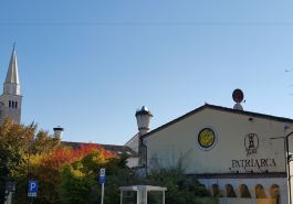 Patriarca and Wellness