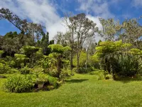 Hale 'Ohu Bed & Breakfast Hotels in Volcano