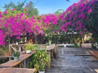 Homestay Minh Ngoc Hotellit kohteessa Him Lam