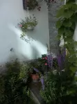 City Amalfi Bed and Breakfast