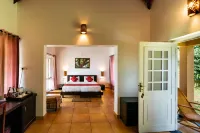 After the Rains - Rainforest Lodge