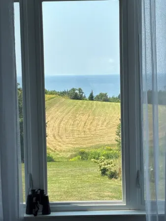 Where the Ocean Meets Rolling Hills in a Picturesque Landscape