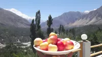 Tourist Cottage Hunza - Mountain view