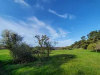 Vacation apartment "Ziegenvilla Vacation on a farm in the Eifel