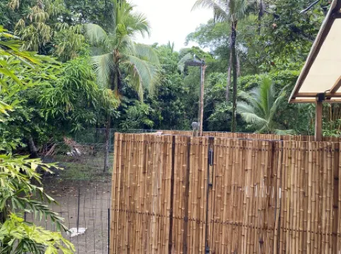 Safari tent on the beach. Near Manuel Antonio, nature, beach and plunge pool