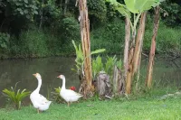 Farm - Cotia - 3 km from Animalia Park - pets allowed Hotels in Cotia