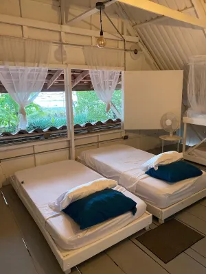 Rustic Beach Front Cabin. Pet Friendly!