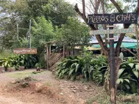 40' Tasteful container tucked away in the Jungle! 科瓦諾機場附近的飯店