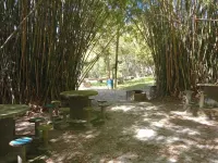 Beautiful loft in Palmas