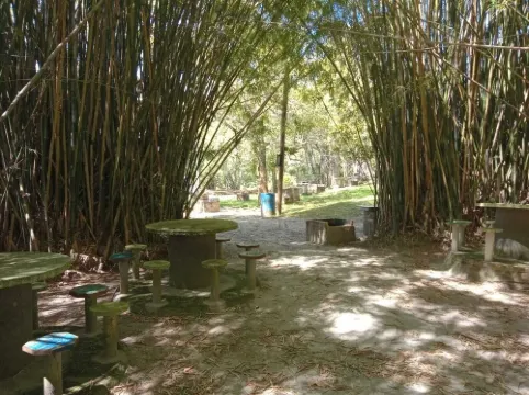 Beautiful loft in Palmas