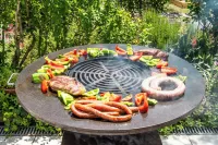 LUXURY VILLA: choose the exceptional, facing the Medieval City of Carcassonne