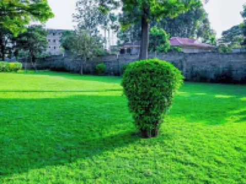 4 Tee's Hotel Rongai Hotels in Langata Rongai