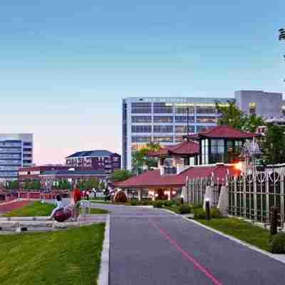 Casa de Color - 2BR/1BA Townhome near Downtown Others