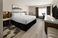 Crowne Plaza NASHVILLE AIRPORT by IHG - جاكوزي