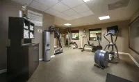 Holiday Inn Express & Suites ATLANTA-EMORY UNIVERSITY AREA by IHG - Træningscentre