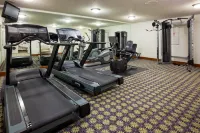 Staybridge Suites MPLS-MAPLE GROVE/ARBOR LAKES by IHG - Gym