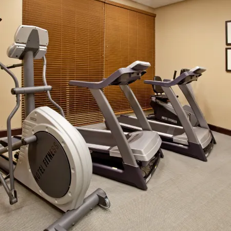 Holiday Inn & Suites PHOENIX AIRPORT by IHG