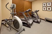 Holiday Inn & Suites PHOENIX AIRPORT by IHG - Phòng tập thể hình