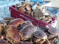 厄爾奇附近風景優美海灘的公寓