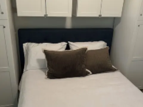 Funky coconut luxury apartment ダニーディンのホテル