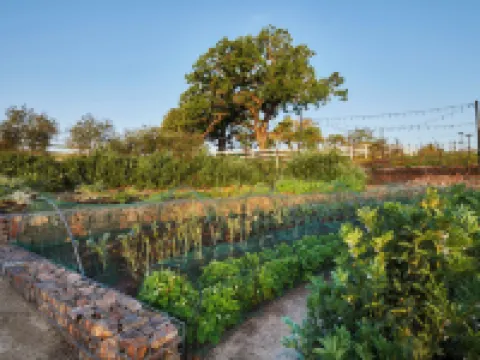 The Meritage Resort and Spa Hoteles en Napa