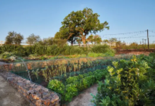 The Meritage Resort and Spa