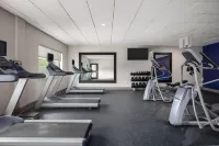 Holiday Inn Express & Suites DRIPPING SPRINGS - AUSTIN AREA by IHG - Gym