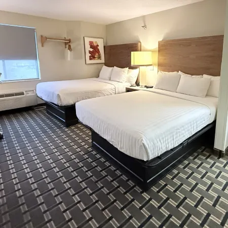 Edn Hotel
