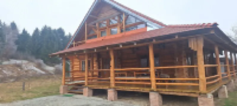 Rosehip Flowers Hotels in 