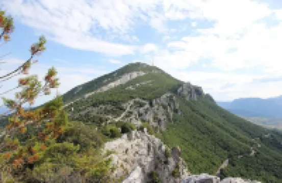 Central Dorgali Rooms