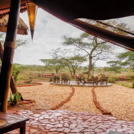 Ikoma Tented Camp Hotels in Serengeti