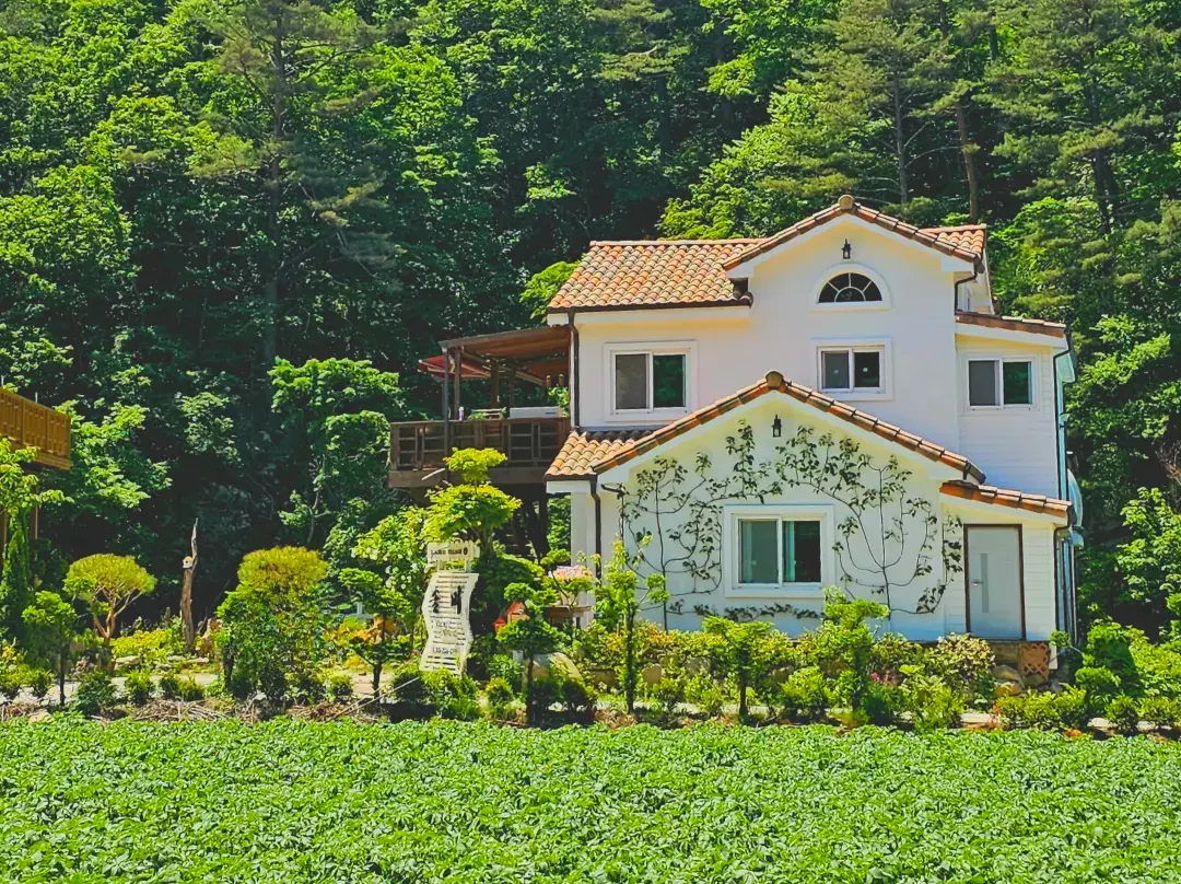 Jeongseon Solmi Pension - 정선군
