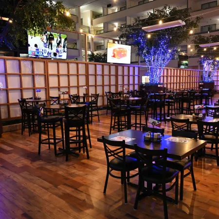 Atrium Hotel and Suites DFW Airport