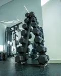 Goldvika - palestra