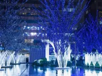 Forest Inn Tenjinminami - Apartments