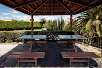 Hotel Hi! Zapopan - Pet friendly