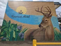 Riverside Motel - Barer