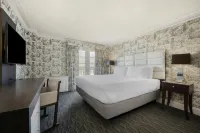 The Normandy Hotel - pet friendly