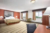 Quality Inn - Motels