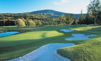 Long Trail House Condominiums at Stratton Mountain Resort