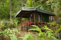 La Leona Eco Lodge Hotels near SINAC: Reserva Forestal Golfo Dulce, sector Rancho Quemado